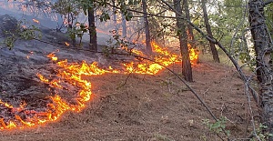 Mersin'deki Orman Yangını, Yerleşim Yerlerini Tehdit Etmeye Başladı