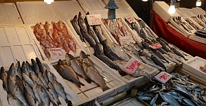 Balıkla Gelen Tehlike: Ağır Metal Riski