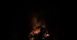 Mersin'de Korkutan Orman Yangını