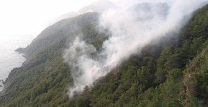 Mersin'de yıldırım düşen ormanlık alanda yangın çıktı