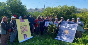 Jandarma limon bahçesinde işçilere 'Kadına El Kalkamaz' projesini anlattı