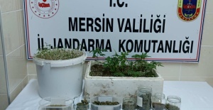 Mersin'de uyuşturucu operasyonu: 1 tutuklu